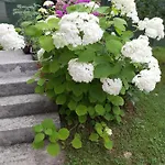 Bella Villa *